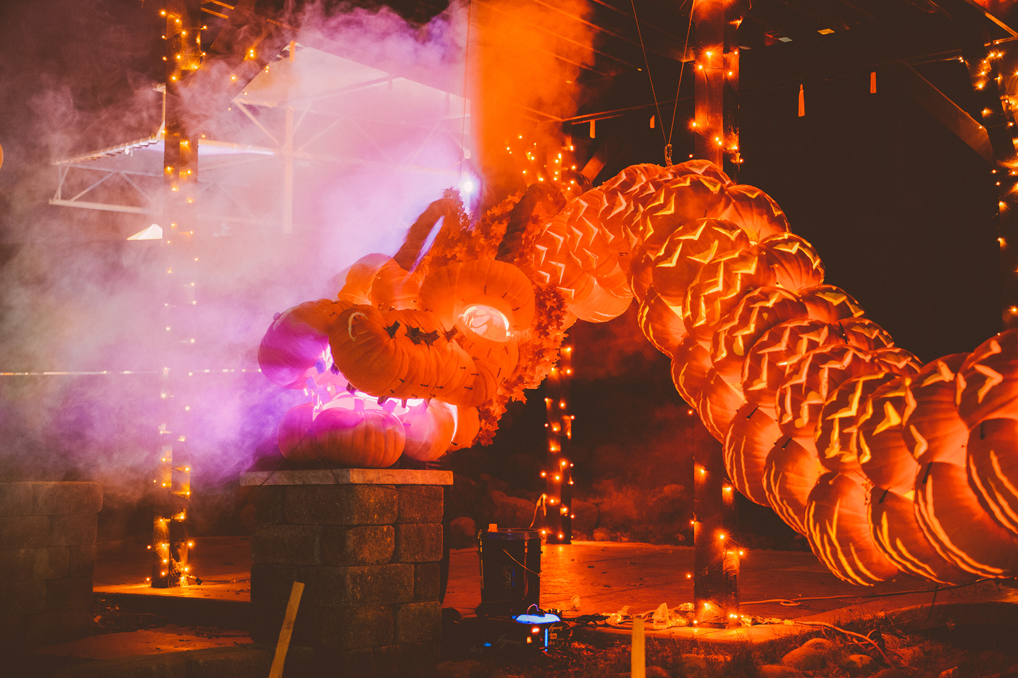 Pumpkin Nights | Learn about the Pumpkin Nights experience