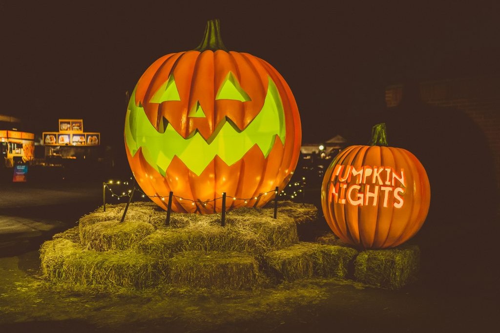 Pumpkin Nights | Experience the excitment of 5,000 hand-carved pumpkins