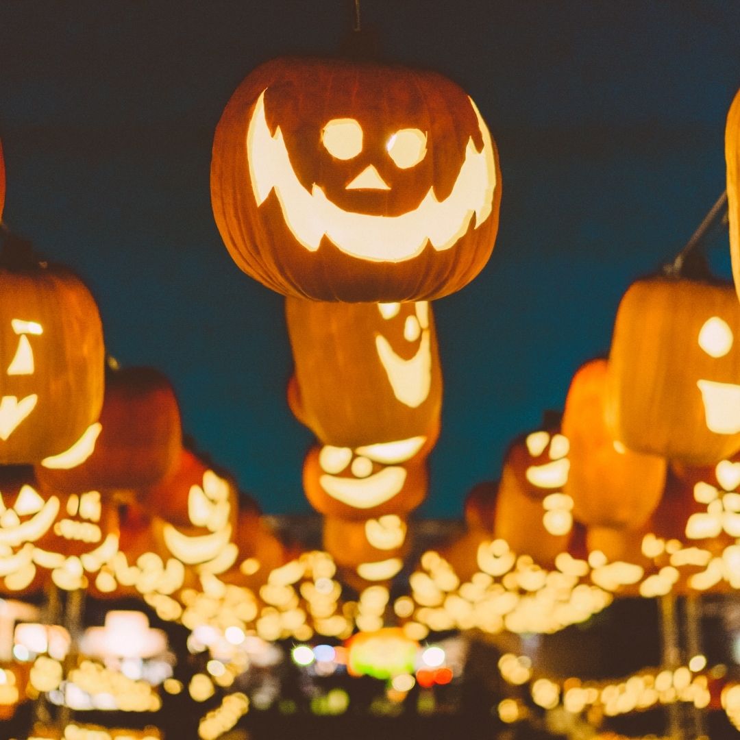 Pumpkin Nights | Learn about the Pumpkin Nights experience